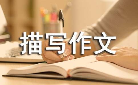哪里可以找到篮球训练的模范案例_0